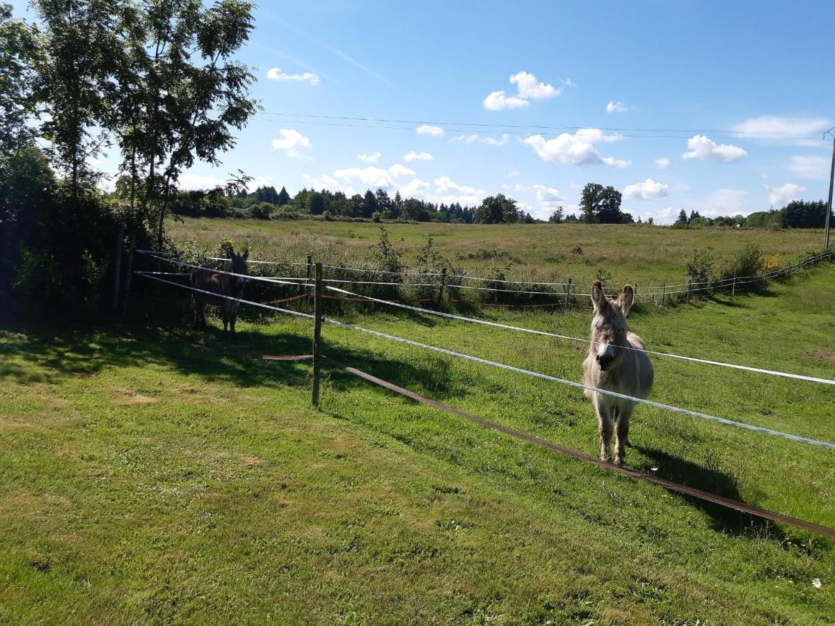 Le Figuier Villa Le Lindois Eksteriør billede